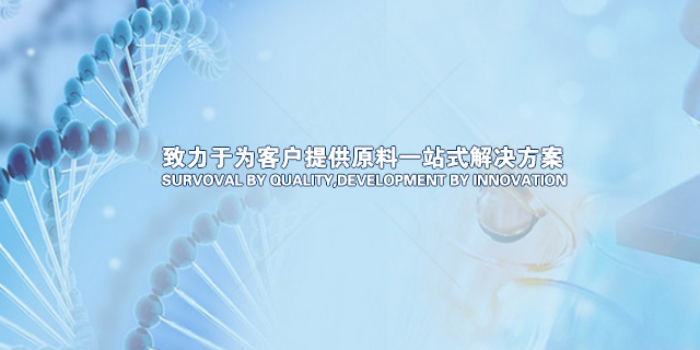 手机网站大图